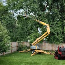 Best Utility Line Clearance  in Wellington, OH